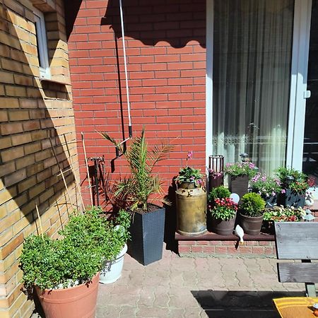 Ogrodek U Eli Apartamento Kołobrzeg Exterior foto