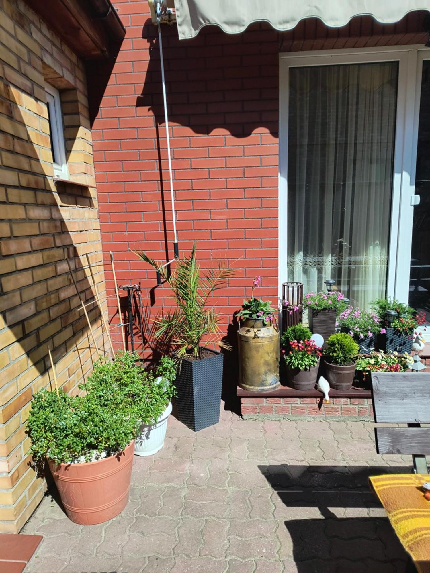 Ogrodek U Eli Apartamento Kołobrzeg Exterior foto